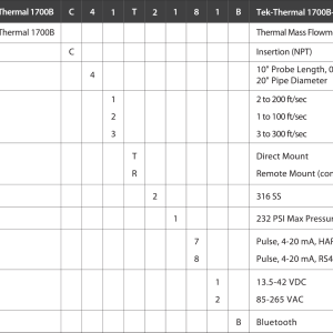 TEK-THERMAL 1700B SERIES THERMAL MASS FLOW METER Model Chart