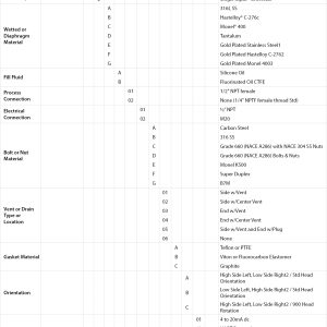 EXPLOSION-PROOF MULTIVARIABLE TRANSMITTER Model Chart