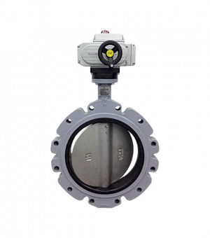 100 PSI 2 Way Butterfly Valve with 2 Position Electric Actuator