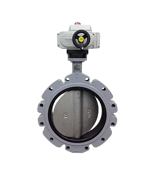 100 PSI 2 Way Butterfly Valve with 2 Position Electric Actuator