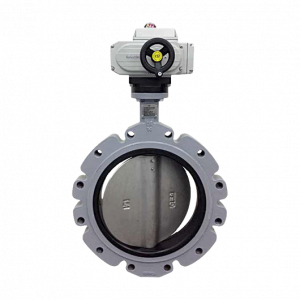 100 PSI 2 Way Butterfly Valve with Modulating Electric Actuator