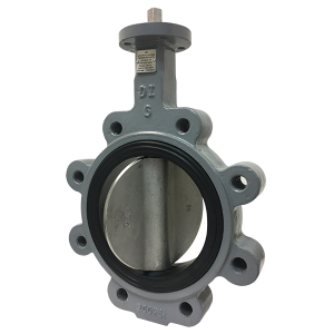 Replaceable Seat Butterfly Valve (Series 2200)