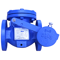 Cast Iron 125 ANSI Full Body Swing Check with Weight and Lever Valve