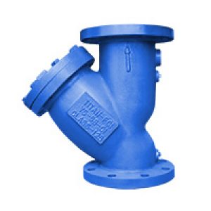 Cast Iron ANSI 125 Flanged Ends Y Strainer