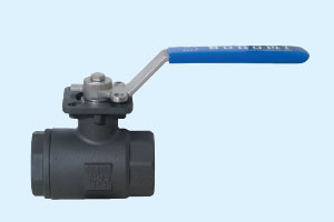 2-Piece Carbon and Stainless Steel Ball Valve