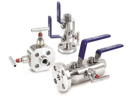 Block and Bleed Valves