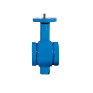 Groved End Butterfly Valve