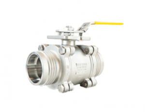 Multi-Choice Weld-In-Place Ball Valve