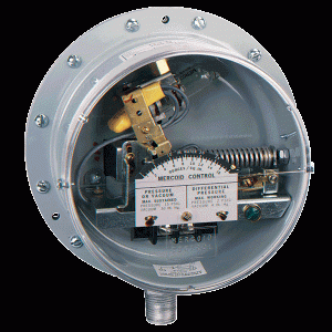 Series PG Gas Pressure/Differential Pressure Switch