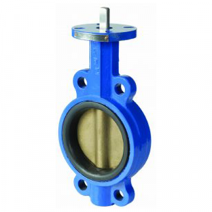 Resilient Seated Semi-Lugged Non-Tapped Butterfly Valve