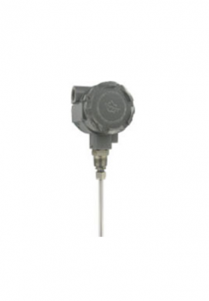 Series CRF2 Capacitive Level Transmitter