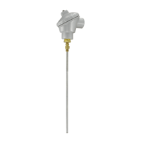 Immersion Temperature Transmitter