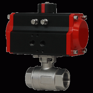 2-Piece NPT Stainless Steel Ball Valve