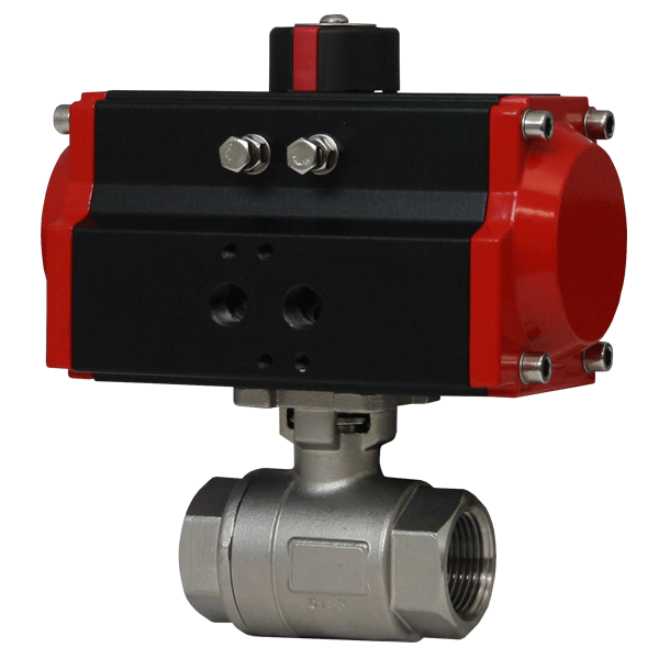 2-Piece NPT Stainless Steel Ball Valve