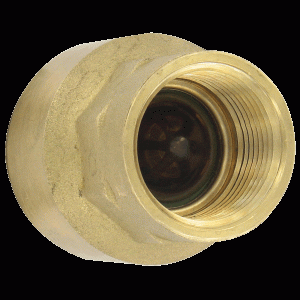 Brass Inline Check Valve