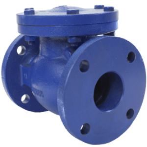 Cast Iron Swing Check Valve