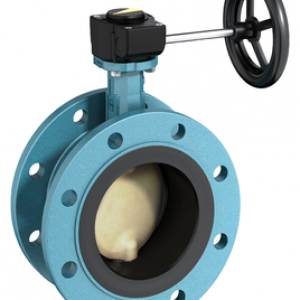 Double Flanged Resilient Seated Butterfly Valve
