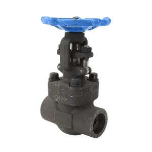 Forged Carbon Steel Gate Valve