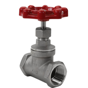 Cast Stainless Steel Globe Valve 200 WOG