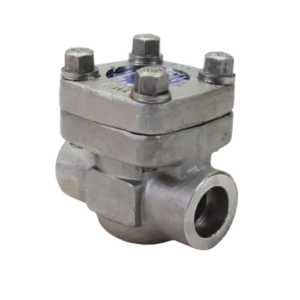 Forged Stainless Steel Swing Check Valve