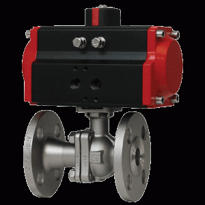 2-Piece Flanged Stainless Steel Ball Valve