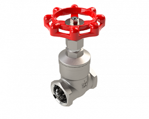 40SSTH Stainless Steel Gate Valve