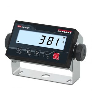 381 Synergy Series Digital Weight Indicator