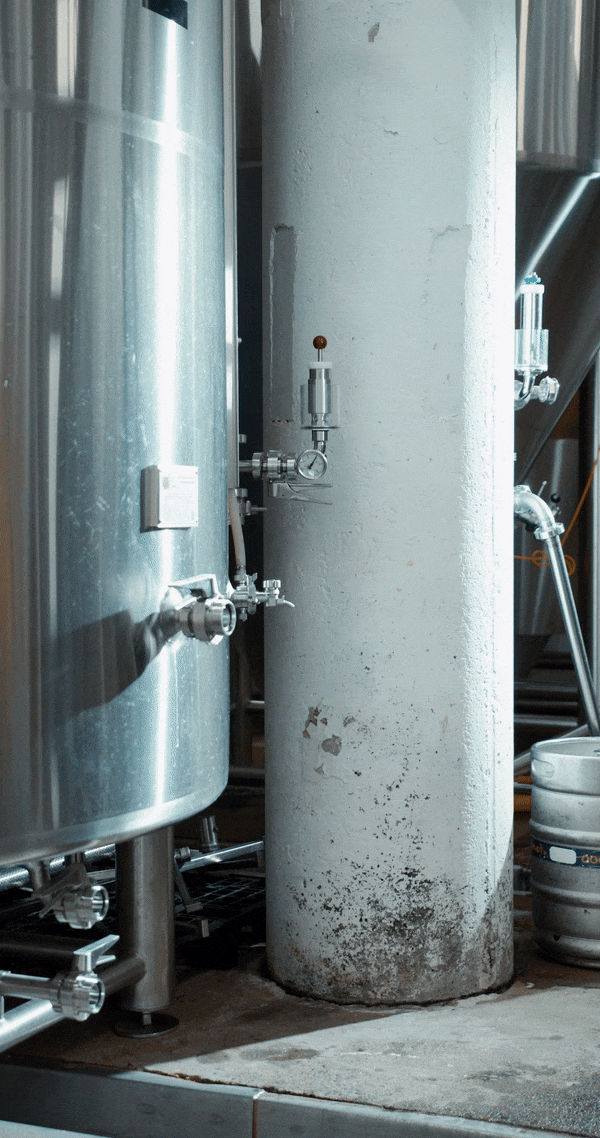 Brewery Sanitary Equipment Case Study