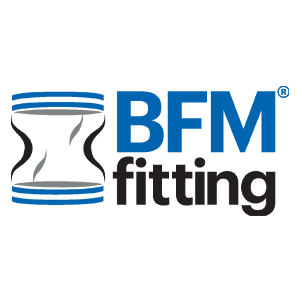 BFM Fitting