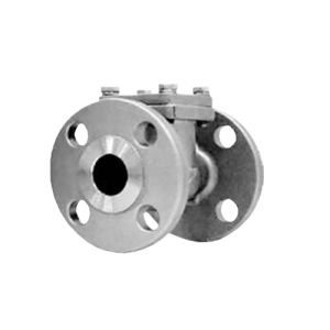 Series 416 Stainless Steel Swing Check Valve