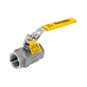 Series N20 Two Piece Full Port 1000 CWP Ball Valve