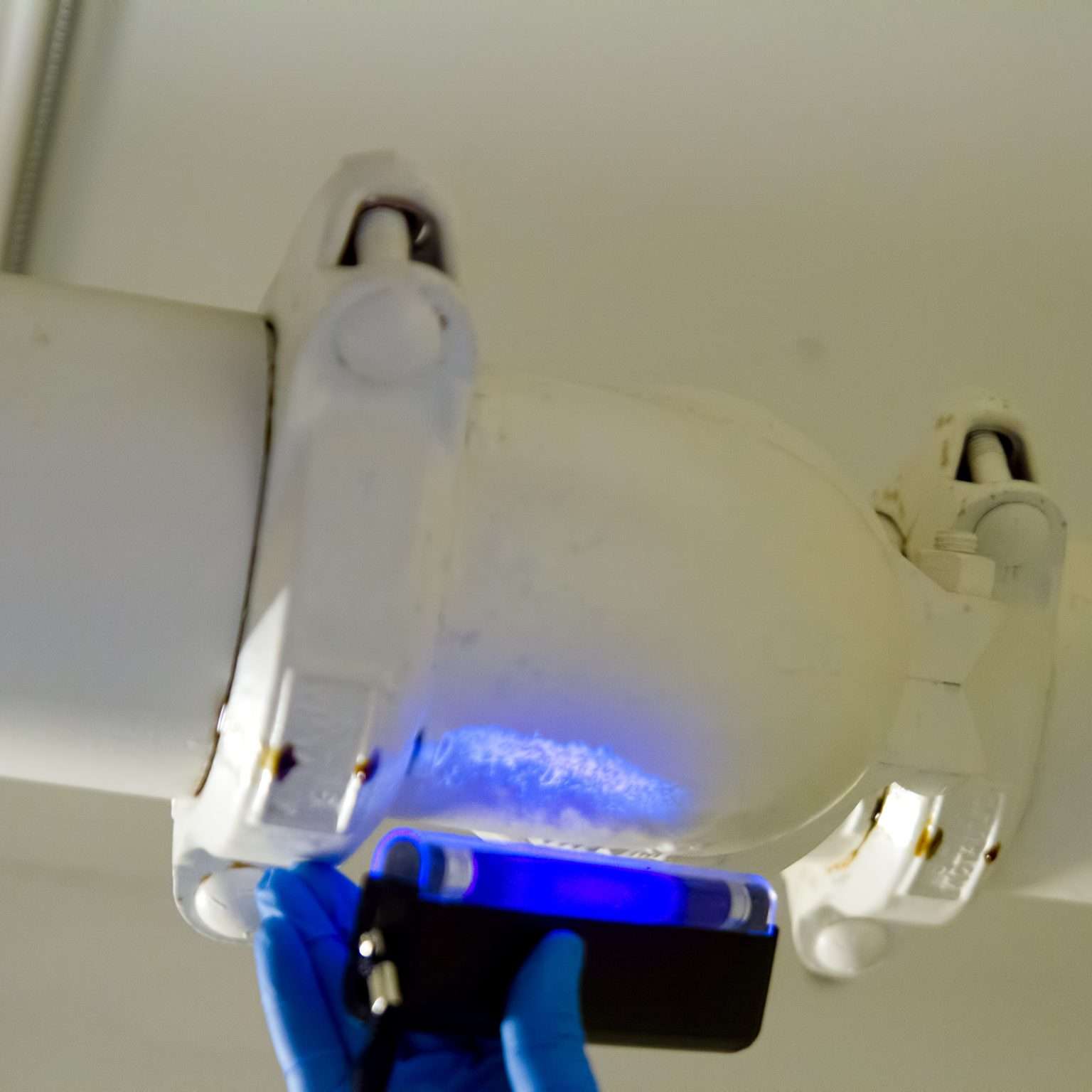 What is a steam trap survey? · Apex Industrial Solutions