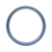 Sanitary PTFE EPDM Tef-Flex Unitized Tri-Clamp Gaskets